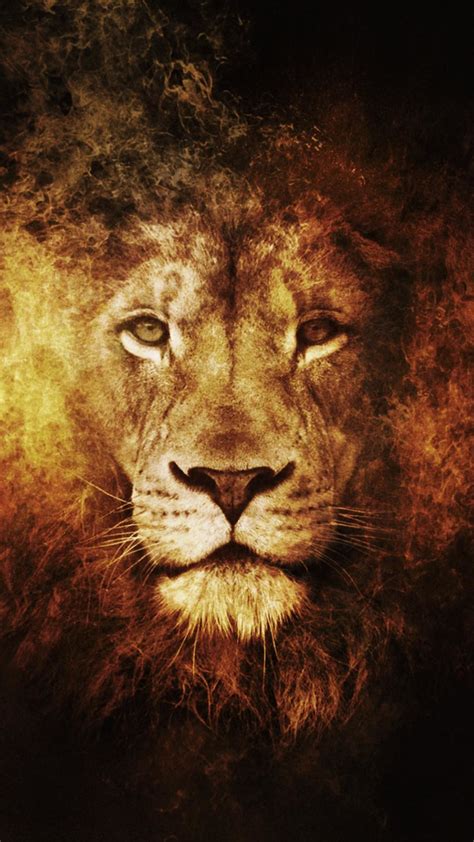 Lion Iphone Wallpaper 79 Images