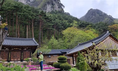 팔공산 원효구도의 길 오도암과 오은사 탐방 트레킹 포토기 네이버 블로그