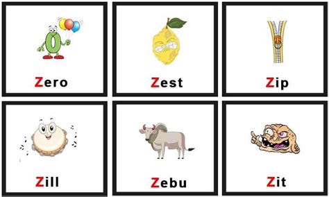 Learn Vocabulary Words That Start With Z