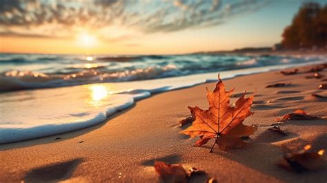 Autumn Sea Images Free Download On Freepik