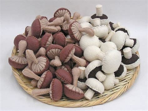 Mushrooms Felt Food Patterns Felt Diy Felt Mushroom