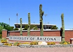 The University of Arizona in Tuscon, Arizona image - Free stock photo ...