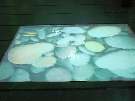 Interactive Floor Projection System Touchmagix Showcase
