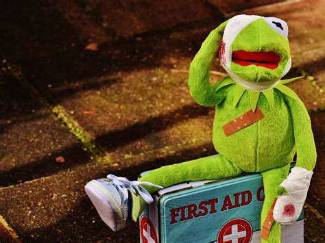 Kermit Førstehjælp Såret · Gratis Foto På Pixabay