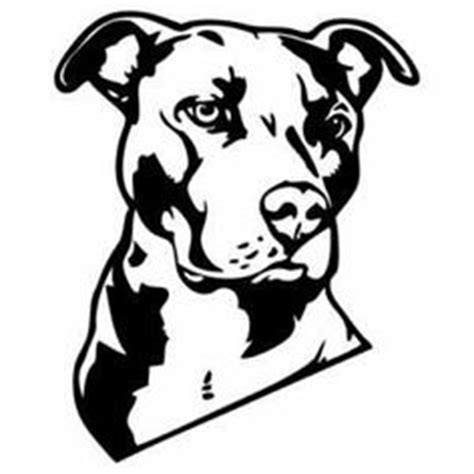 The beginnings of the american bully pitbulls goes back a long time, however it was created very recently in comparison to colby pit bulls that have been around for over. Pit Bull svg, Download Pit Bull svg for free 2019