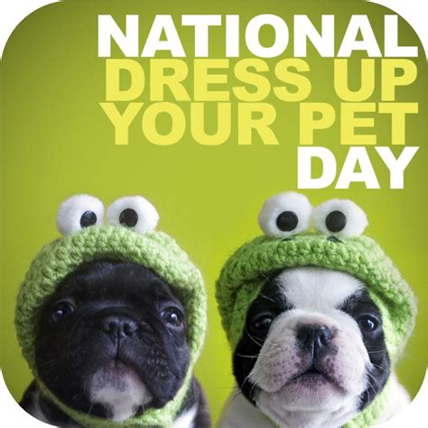 National Dress Up Your Pet Day 2019 Qualads