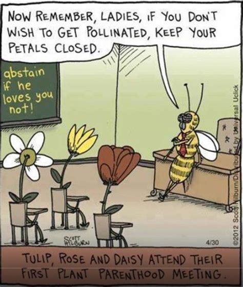 Bee Joke Funny Cartoons Humor Funny Comics