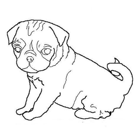 Dog Drawing Outline At Getdrawings Free Download