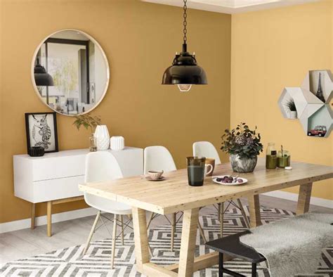 Try Jaiphal Dust N House Paint Colour Shades For Walls Asian Paints