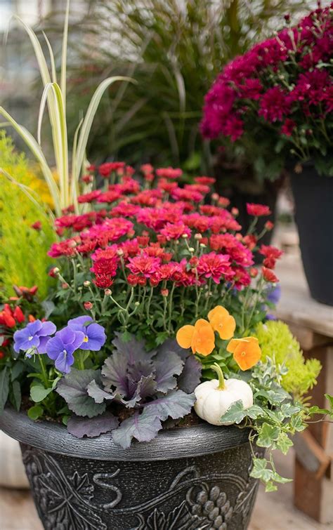 Fall Container Gardens For Your Home By West Coast Gardens Blog