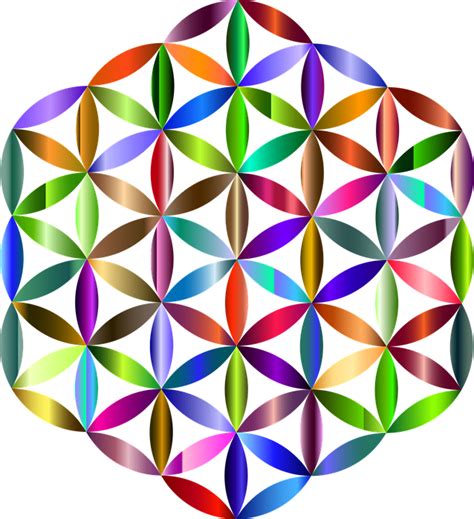 Flower Of Life Sacred Geometry Free Vector Graphic On Pixabay