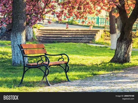 bench city park among image and photo free trial bigstock