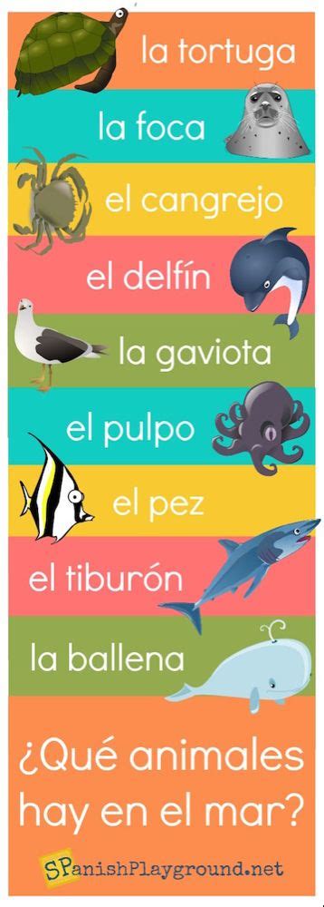 Spanish Vocabulary Infographics Spanish Playground Spanish