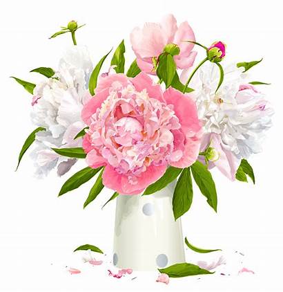 Peony Clipart Flower Peonies Pink Vase Flowers