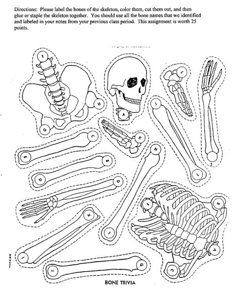 Free Printable Skeleton Crafts Crafts Printable Area