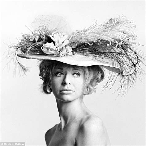 Sandra Howard Reflects On Swinging Sixties Book Of Barely Dressed Beauties Daily Mail Online