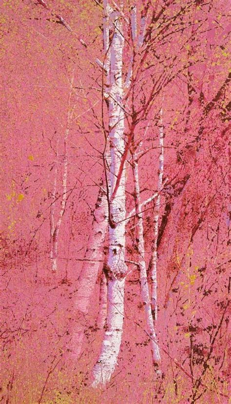 Pin By Sara Ravasini On Painting In 2020 Tree Painting Canvas Birch