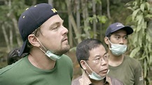 Before the Flood Review: Leonardo DiCaprio Leads Climate Change Doc ...