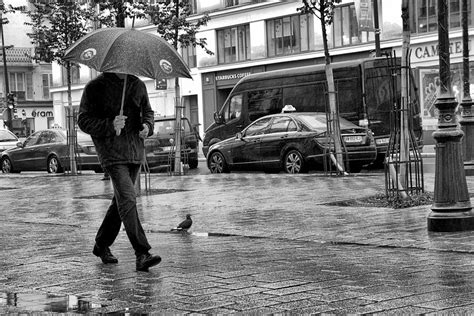A Walk In The Rain Photograph By Judith Tillson