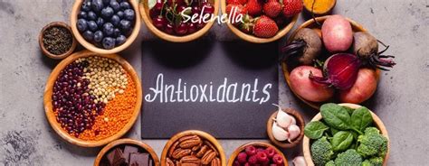 Antiossidanti A Cosa Servono E Dove Si Trovano Selenella