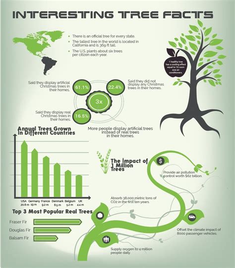 Interesting Tree Facts Facts About Plants Infographic Importance Of