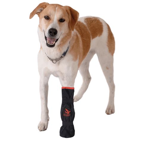 Training Lines Dog Boots And Dog Socks Vetgood Basic Protective