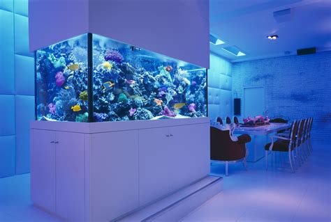 Luxury apartment with giant aquarium Akvaryum dekorasyonu Akvaryum balığı Akvaryum süsleri