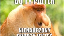 Najlepsze memy z Nosaczem. The best meme of Janusz. - YouTube