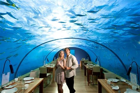 5 Underwater Restaurants To Try On Your Maldives Honeymoon Trip