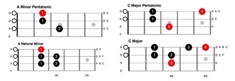 4 Common Scales For Bass Players How To Use Scales