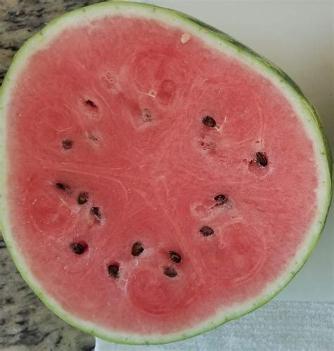 Is Seedless Watermelon Genetically Modified The Wooden Cutting Board