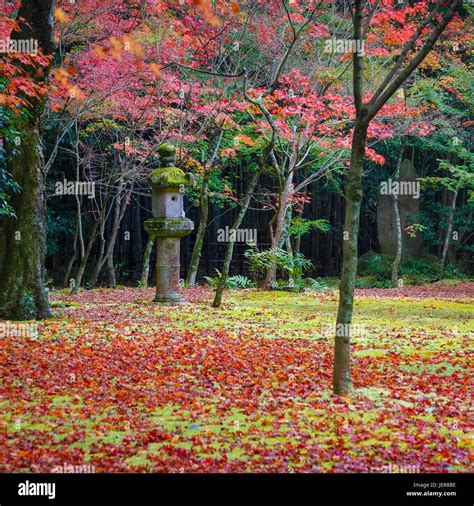 Colorful Autumn At Koto In Temple In Kyoto Stock Photo Alamy