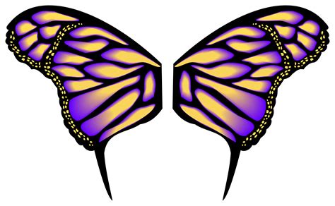 Patterns On Butterfly Wings Clipart Best