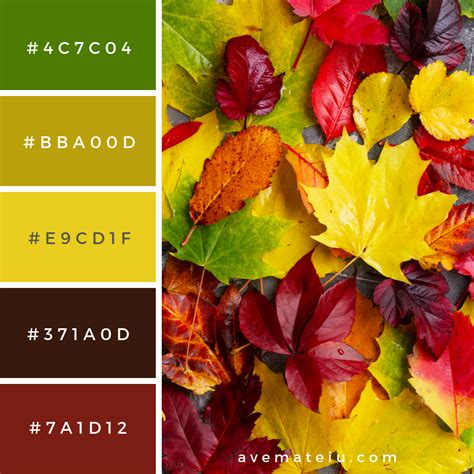 Natural Fall Leaves On Gray Stone Background Color Palette 351 Color