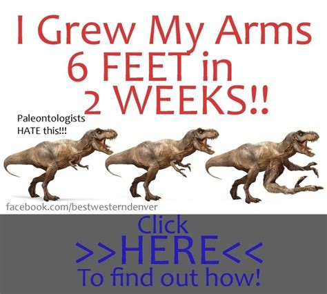 Pic 3 T Rex Arm Jokes Are Always Short Meme Guy