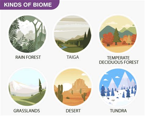 The Different Biomes