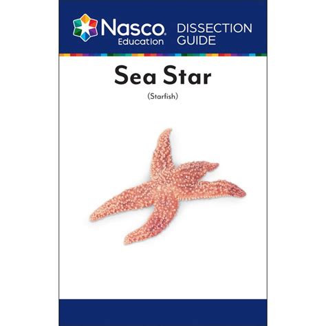 Sea Star Starfish Dissection Guide