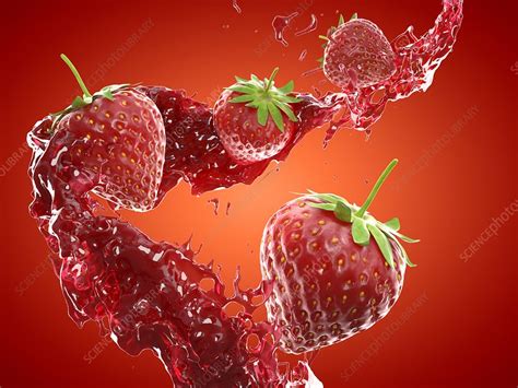 Strawberry Splash Illustration Stock Image F0290927 Science