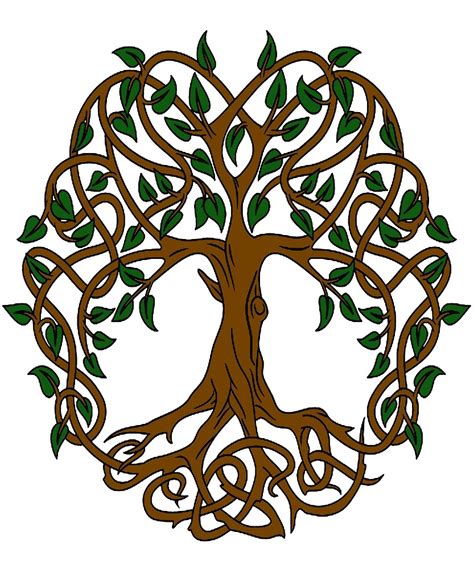 The tree was able to provide shelter, food, and medicine, leading the celts to believe that. "Celtic Knot Tree Of Life" by lakelandwholes1 | Redbubble
