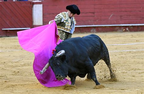 triunfo de el juli y fantasía de morante en la primera de feria en almería infobae