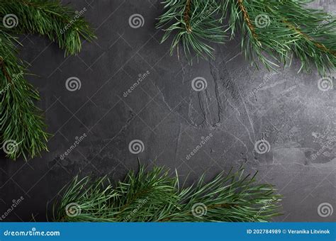 Christmas Background With Pine Tree Branches Ob Dark Stock Image