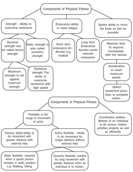 Physical Fitness Wellness And Lifestyle Class 11 Notes Physical