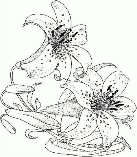 We did not find results for: Realistic And Detailed Water Lily Flower Coloring Page For ...