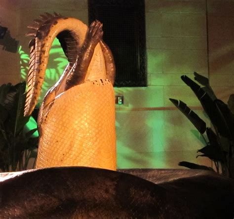 Snake Invader Images Of Titanoboa In Grand Central Live Science