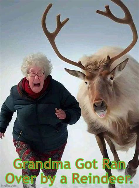 Grandma Got Ran Over By A Reindeer Imgflip