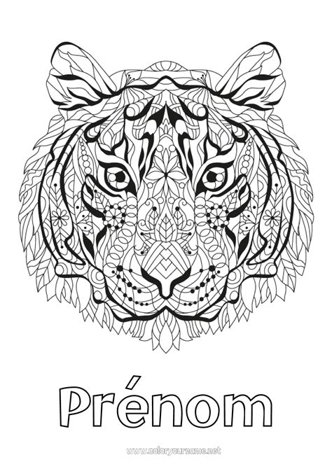 Coloriage N°658 Mandala Tigre Animal