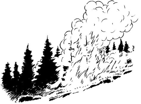 Black And White Forest Fire Clipart Clip Art Library