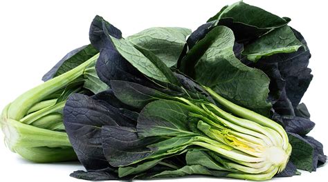 Red Bok Choy Information Recipes And Facts