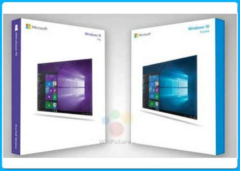 Microsoft Windows 10 Professional Lifetime Oem License Activation 64