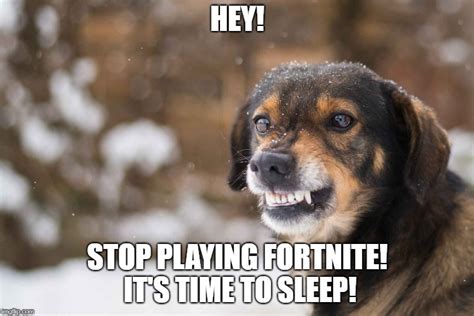 Dog Growling Memes And S Imgflip